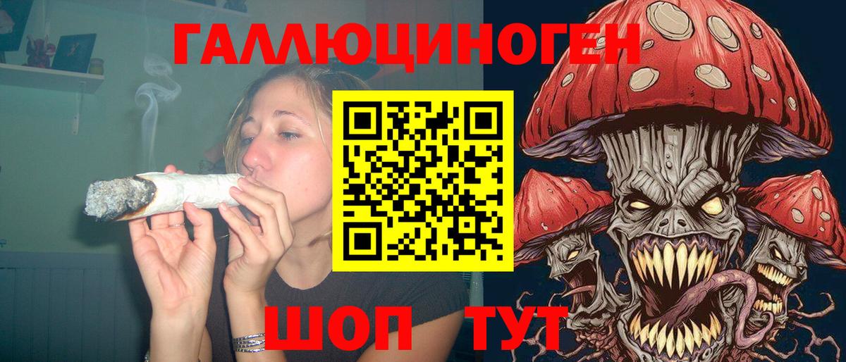 Галлюциногенные грибы Psilocybe Североморск