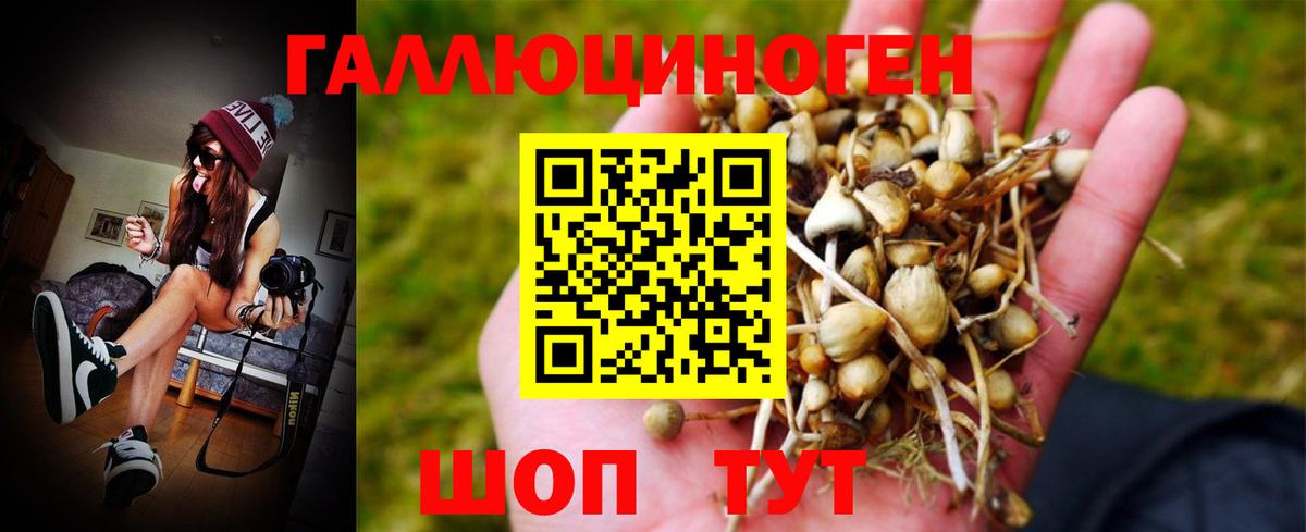 Североморск  Галлюциногенные грибы Psilocybe  Вход с VPN 