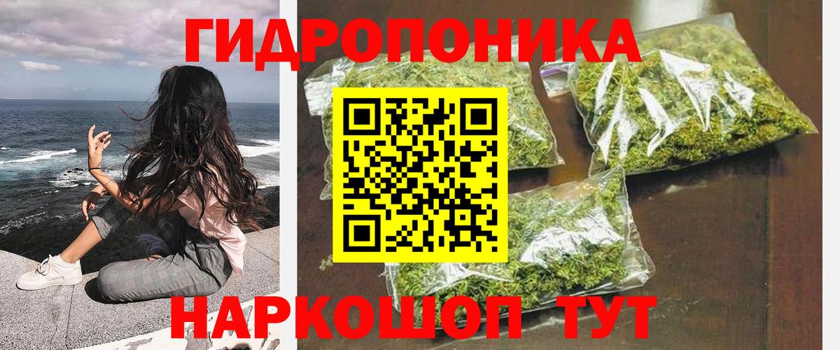 Шишки марихуана индика  Вход с VPN  Марихуана план  Североморск  Бошки марихуана план 